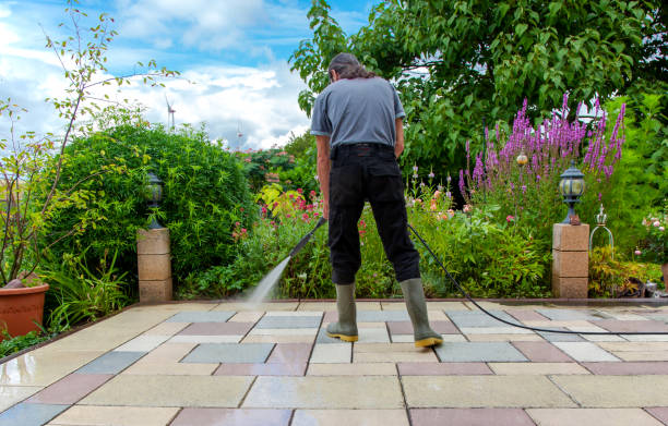 Best Animal Enclosure Cleaning  in Novato, CA