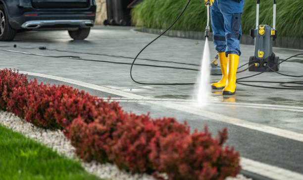 Trusted Novato, CA Pressure Washing Services Experts