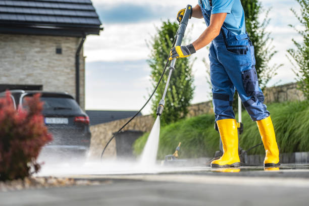 Best Graffiti Removal  in Novato, CA